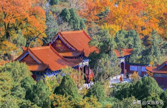 从栾树到彩林，每一步都是心动！新甫山向你发出赏秋邀请函~