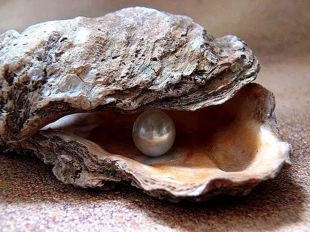 网友这件金珍珠戴几年就扁成这样？哪个环节出了问题？