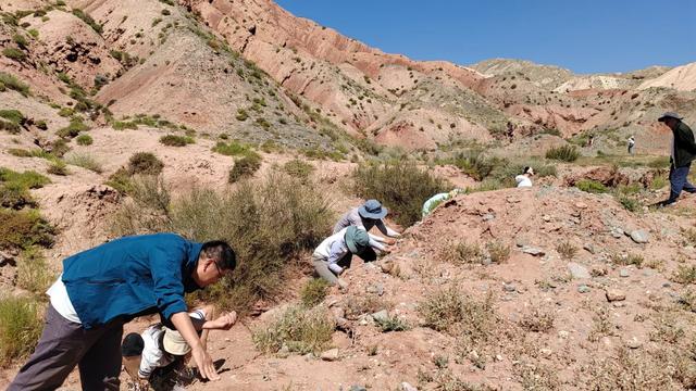 新疆乌恰县贝壳山，满山的贝壳