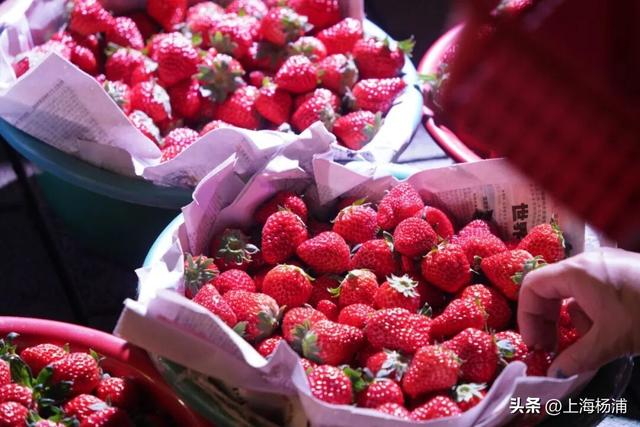 来复兴岛当一天快乐“岛民”