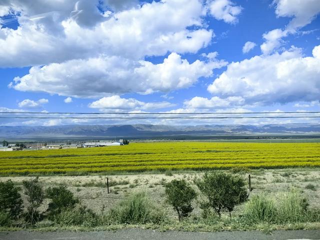 巴里坤县沿途风景