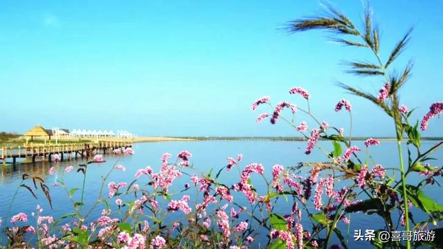 松花江畔的绿宝石:呼兰河口湿地漫记