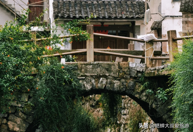 拥有1560间古建的浙江古村，八百年历史中，因“真实”渐成热门地