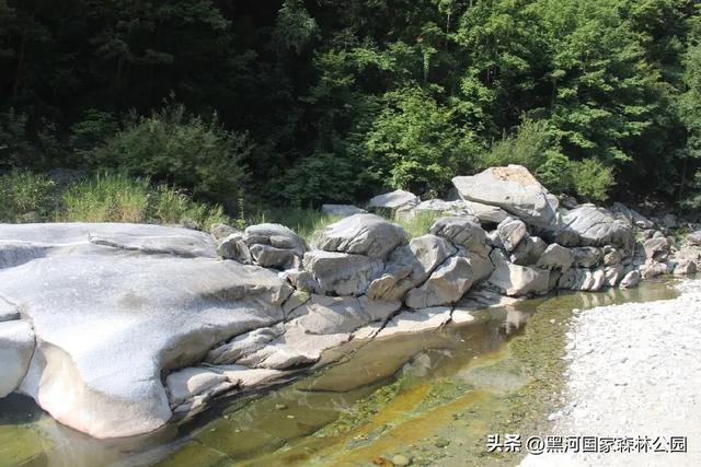 西安40℃+?别硬扛了!赶紧往黑河“跑”!