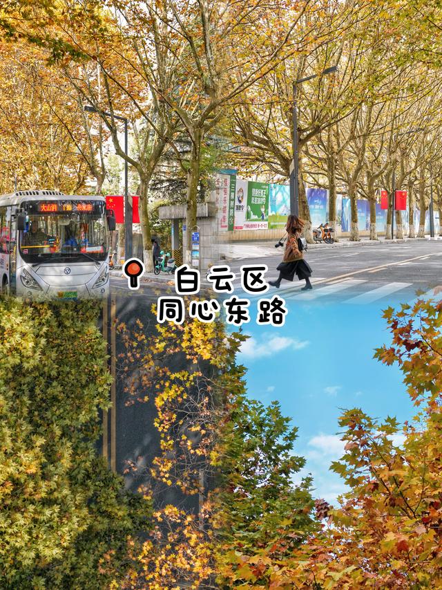 🌲别再去观山湖公园挤了！这9个小众地同样美到爆