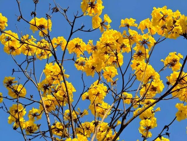 女性免票、男士同享、3.8元特惠→