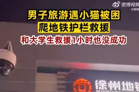 男子旅游途中爬地铁护栏救小猫：和大学生一起救援1小时图片