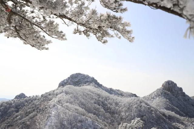 马上来“临” “沂”起过年｜爬一座沂蒙的山