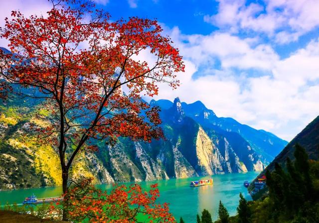 满山红叶正当时！第十九届巫山国际红叶节邀请函已送达→