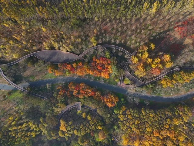 刷屏京津冀朋友圈!这个宝藏地超chill~