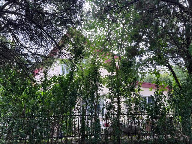 毗邻八大关，无敌海景、欧式建筑、葱郁柏树，这里一处宝藏景区。