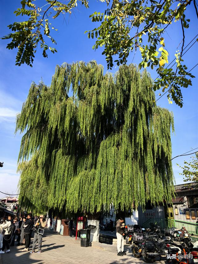 济南哪里最江南？