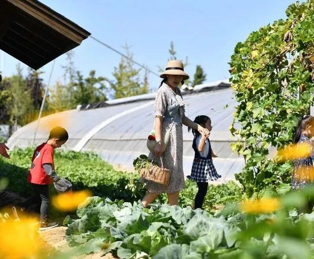 丰台秋日超全玩法指南！寻秋赏叶、文艺遛娃、夜游市集、采摘打卡统统有