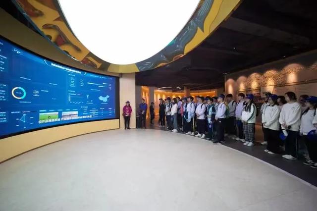 乐享田园·趣游南宁│稻香壮韵寻趣之旅