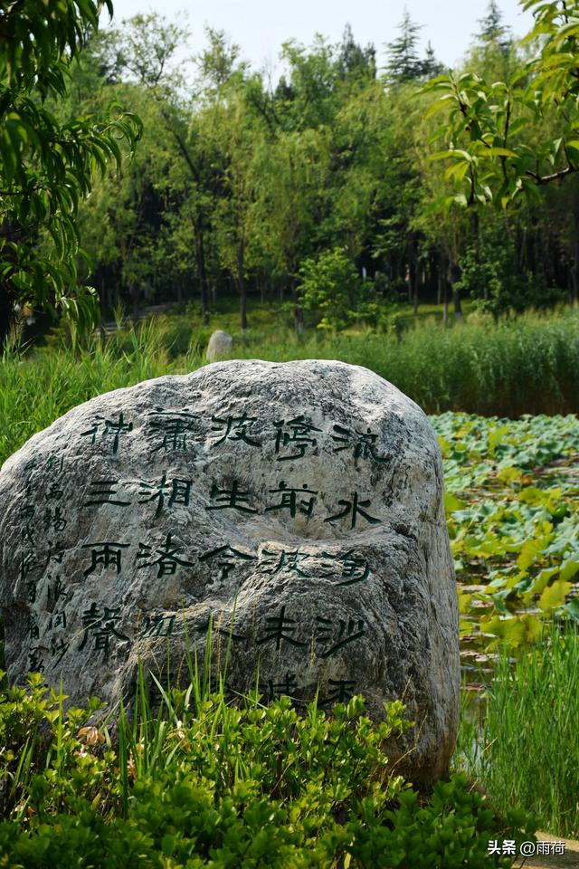 我西安人	，去了一趟河南荥阳回来，忍不住想说：对荥阳的5点印象