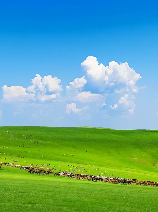 中国四省藏惊喜！打飞的比开车还香，1小时直达雪山草原