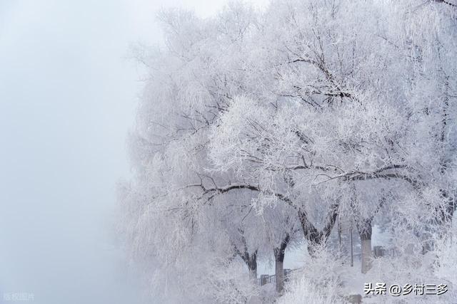 “春节冷不冷，就看冬月初一”，今日冬月初一，今年春节很冷吗？