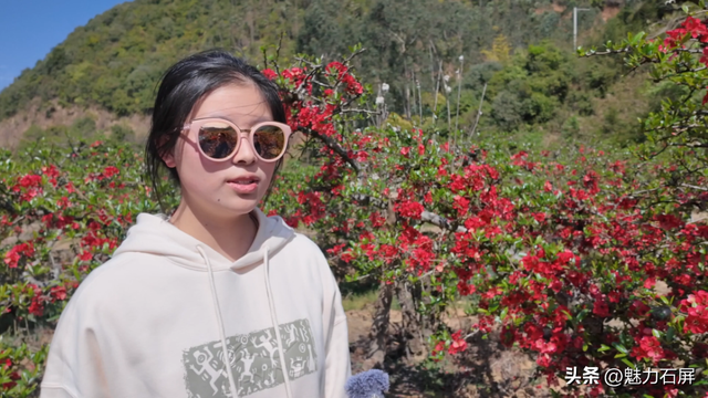 花季打卡石屏横山村 ：藏在山间的那一抹红