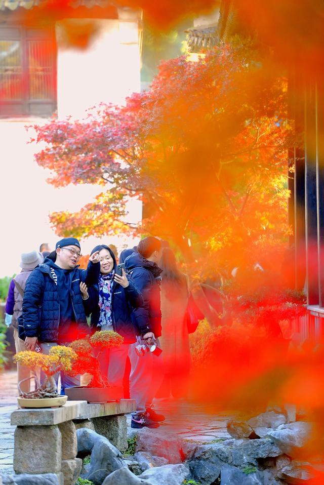 红枫银杏里,读懂惠山古镇的秋冬
