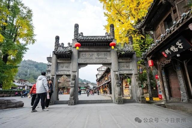 速来→崇州正上演初冬金色浪漫大片！