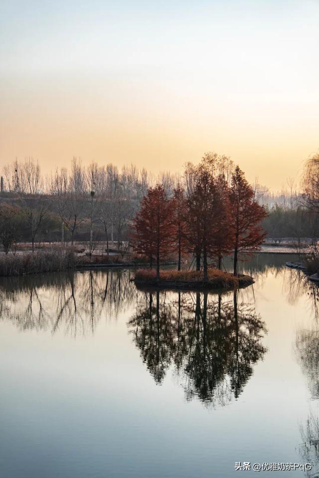大雪至！少康湖这处秘境，拍照超出片
