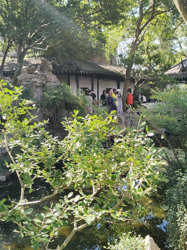 踏入苏州拙政园才懂得什么叫“一园藏尽江南梦”