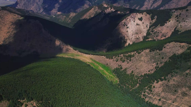 智守贺兰山：中电信无人科技星云平台重塑森林防护新格局