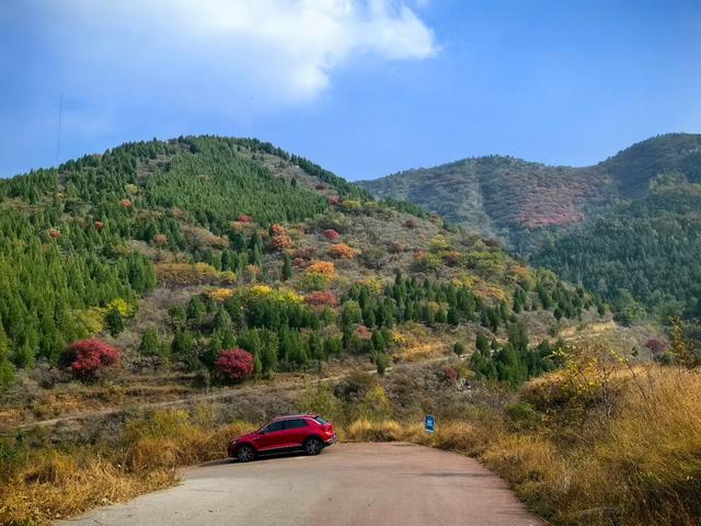 秋访捎近：一树龙吟火满山