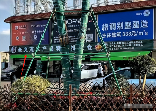 演都不演了！全红婵爸爸用冠军名号赚钱，评论区恶心的一幕出现了