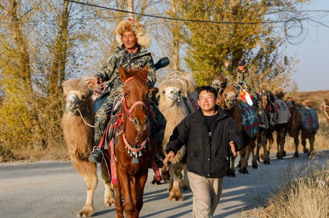 【组图】驼铃响古浪，这支丝路队伍从东天山走来！