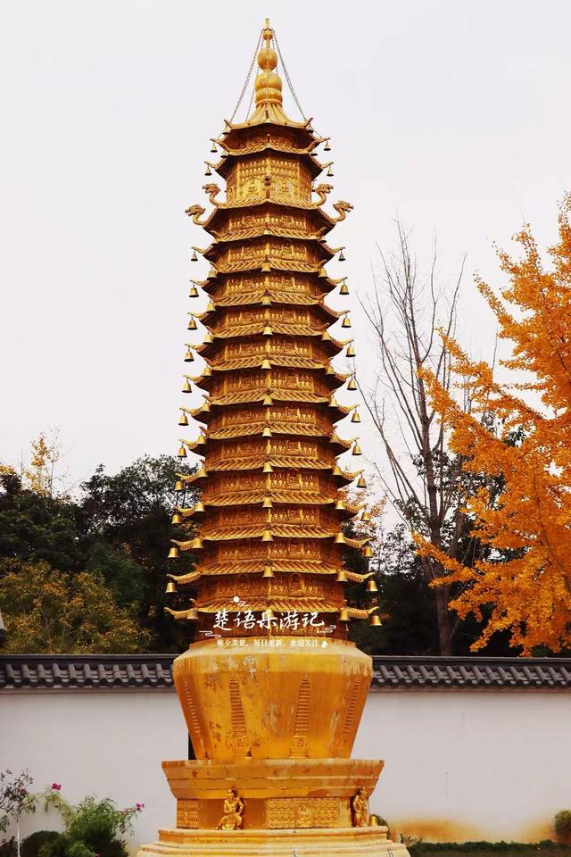 浙江宁波这座千年古寺不鸣则已，一鸣就美哭了，银杏林拍照太出片