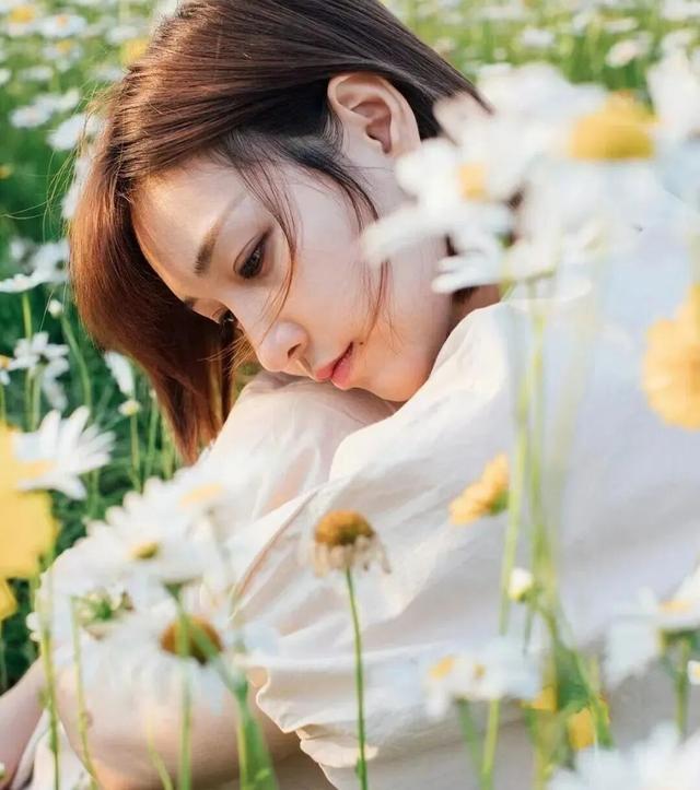 这个周末，来遵义打卡格桑花