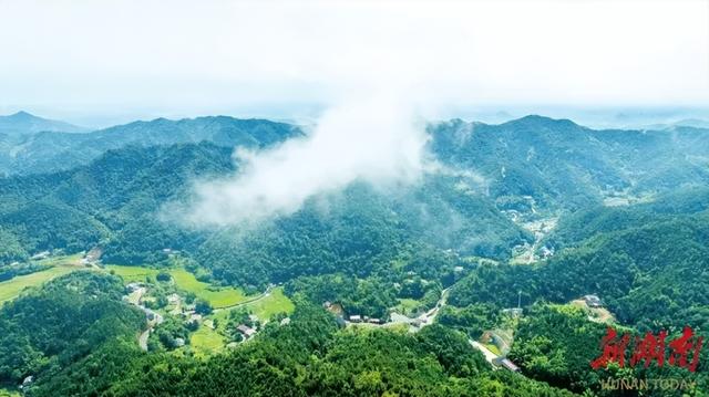荣获中国新闻奖三等奖的系列报道，推荐了醴陵这个村！
