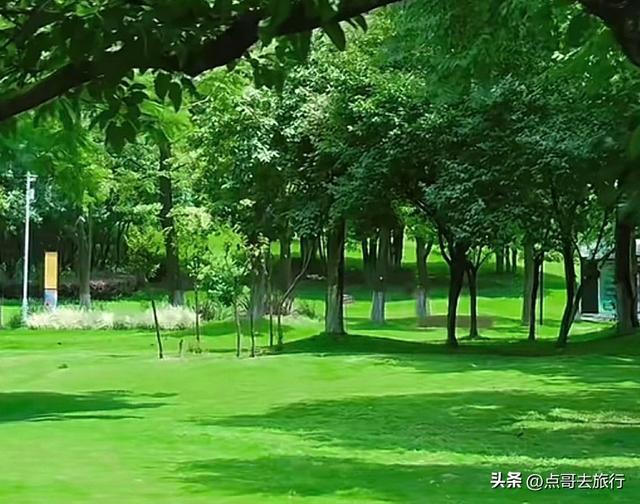 成都市中心必去公园，绿色秘境超美，私藏成都人记忆，地铁直达！