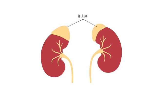 吃药一堆不如吃盐一把，你知道吗，吃盐可以解决身体三大疾病！