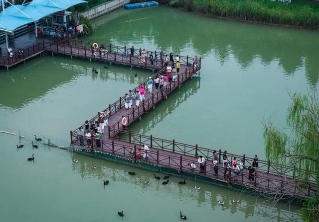 开学周末去哪玩？枣庄在校大学生游台儿庄古城门票免费，解锁秋日研学+打卡双重体验