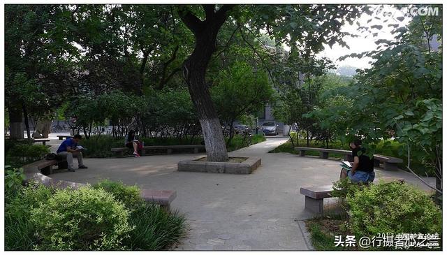 山东行游影记（17）—济南山东大学（四）