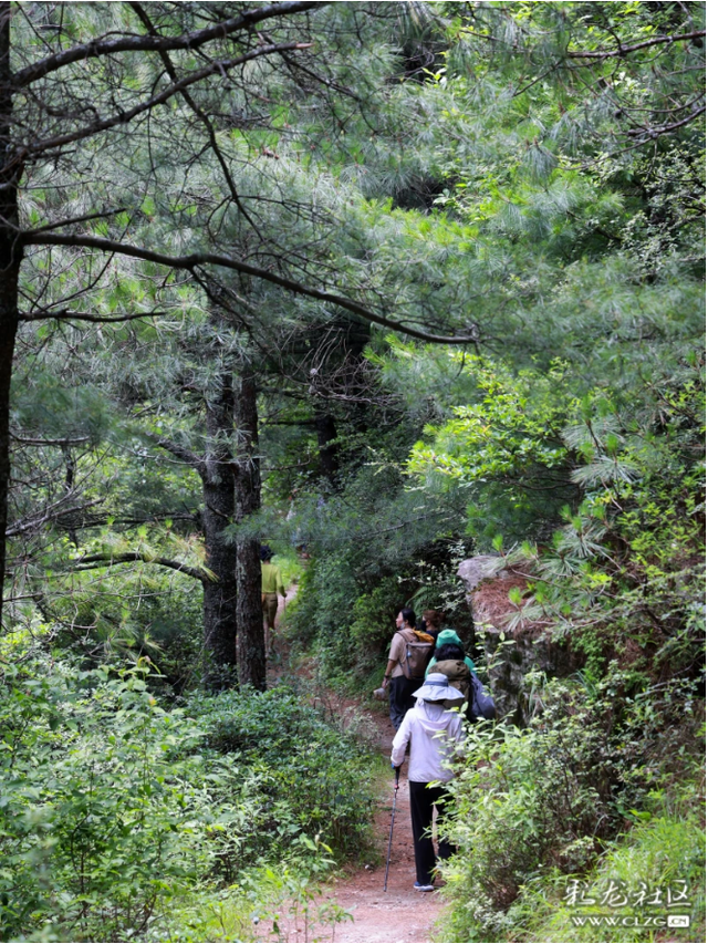 夏日避暑旅行｜徒步苍山莫残溪，往返16公里累并快乐着！