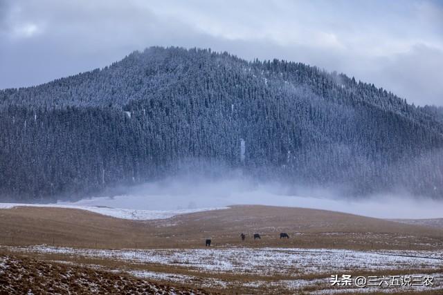 “大雪多不多，就看立冬”，今日立冬，今年冬天雪多冷到哭吗？