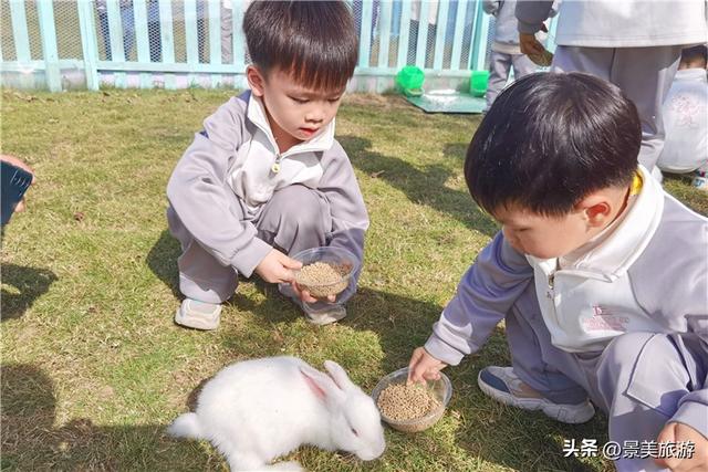 元旦三水南山：一日跨四季，赏花，观烟花，在花香与璀璨中迎新岁