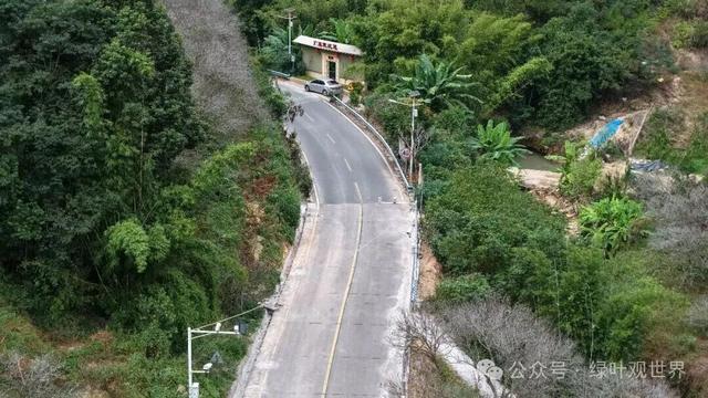 广东福建交界地带，马路界线分明，中间卡着一个鸟窝，属于哪里的