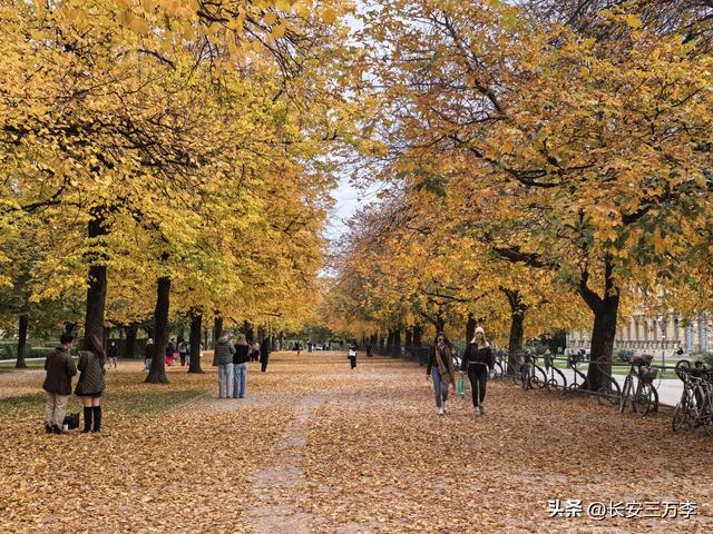 欧洲行第16天：探慕尼黑的苹果店，逛国王宫和英国花园
