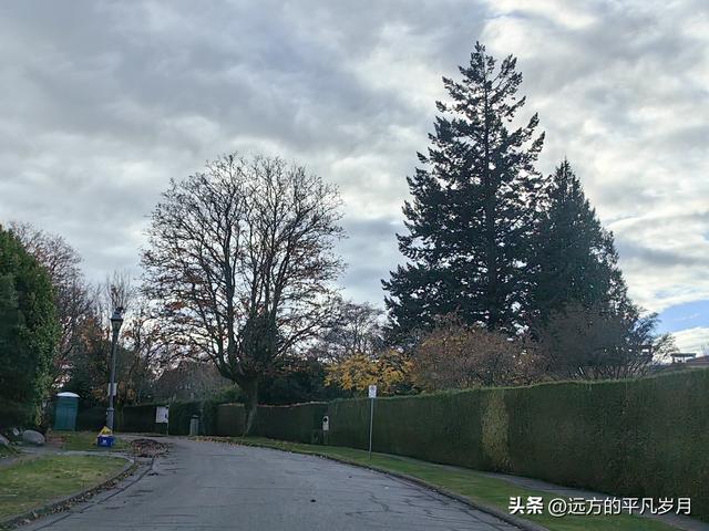 温哥华游记（五）