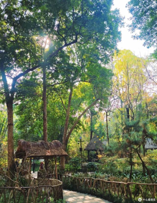 成都6天5晚吃住行玩避坑全攻略