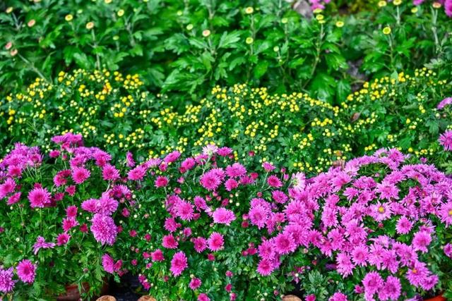 走，去趵突泉！收集秋天最靓的九宫格～