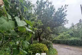 明日白露，记得：4事不做，2酒不喝，家人少生病，平安迎中秋图片