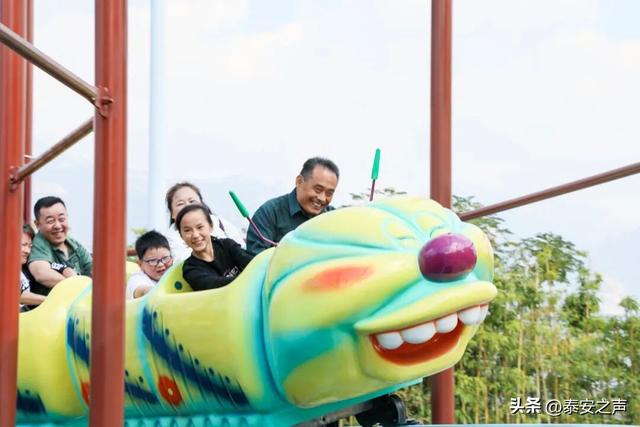 畅玩一整年！泰山石敢当景区官方年卡来啦！