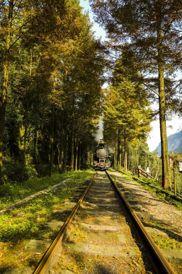 秋天还没过够？那就去乐山留住秋天！