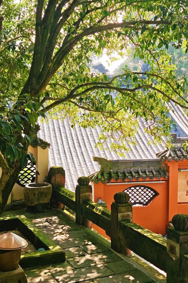 花漾邛州 | 秋意浓，满城桂雨润临邛