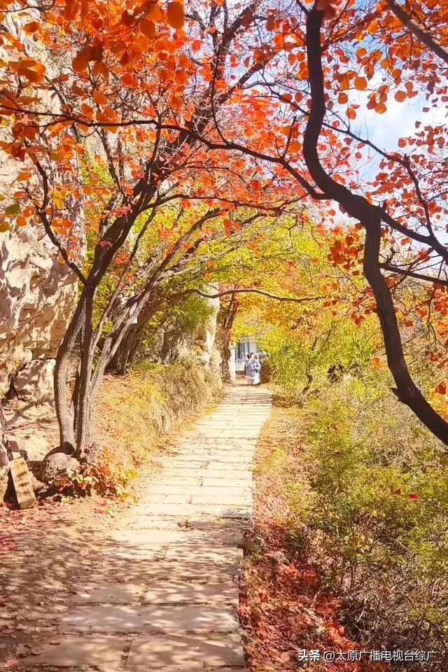 寻迹尖草坪丨初冬限定！这6处绝美风景，再不去真的要等一年！